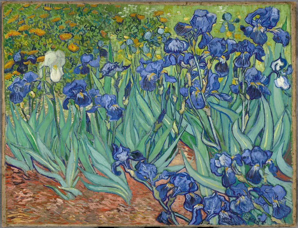 Ирисы — Винсент Ван Гог (Vincent van Gogh)